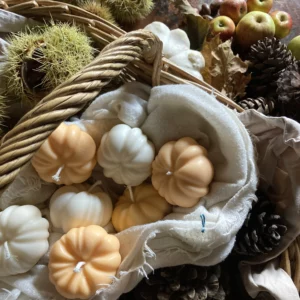 Bougies décoratives végétales d’automne citrouilles en cire de colza