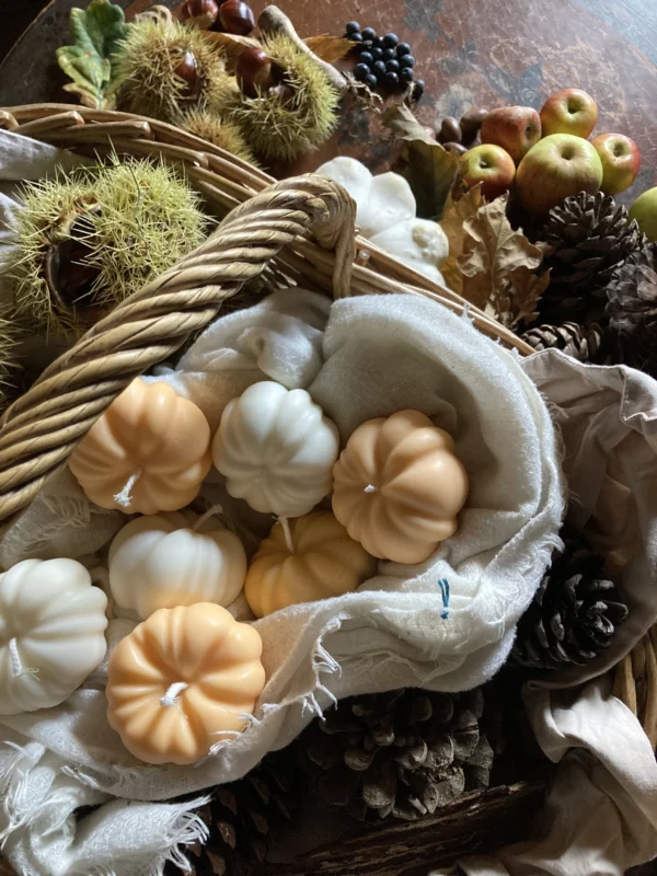 Bougies décoratives végétales d'automne citrouilles en cire de colza